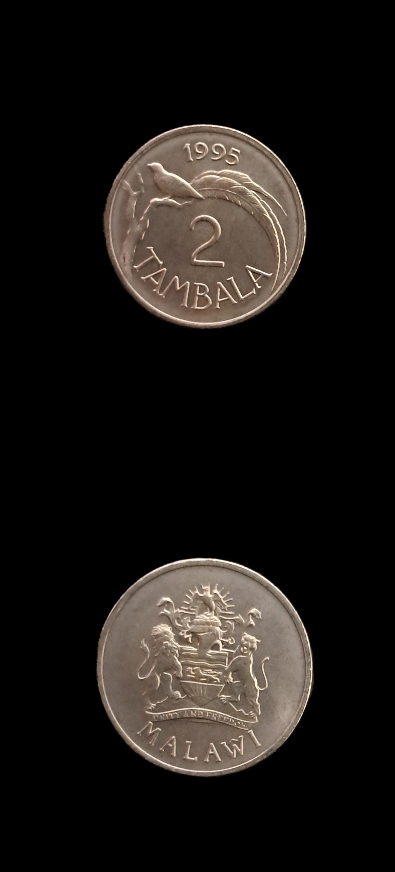 Coin 15 Malawi 2 Tambala 1995 UNC