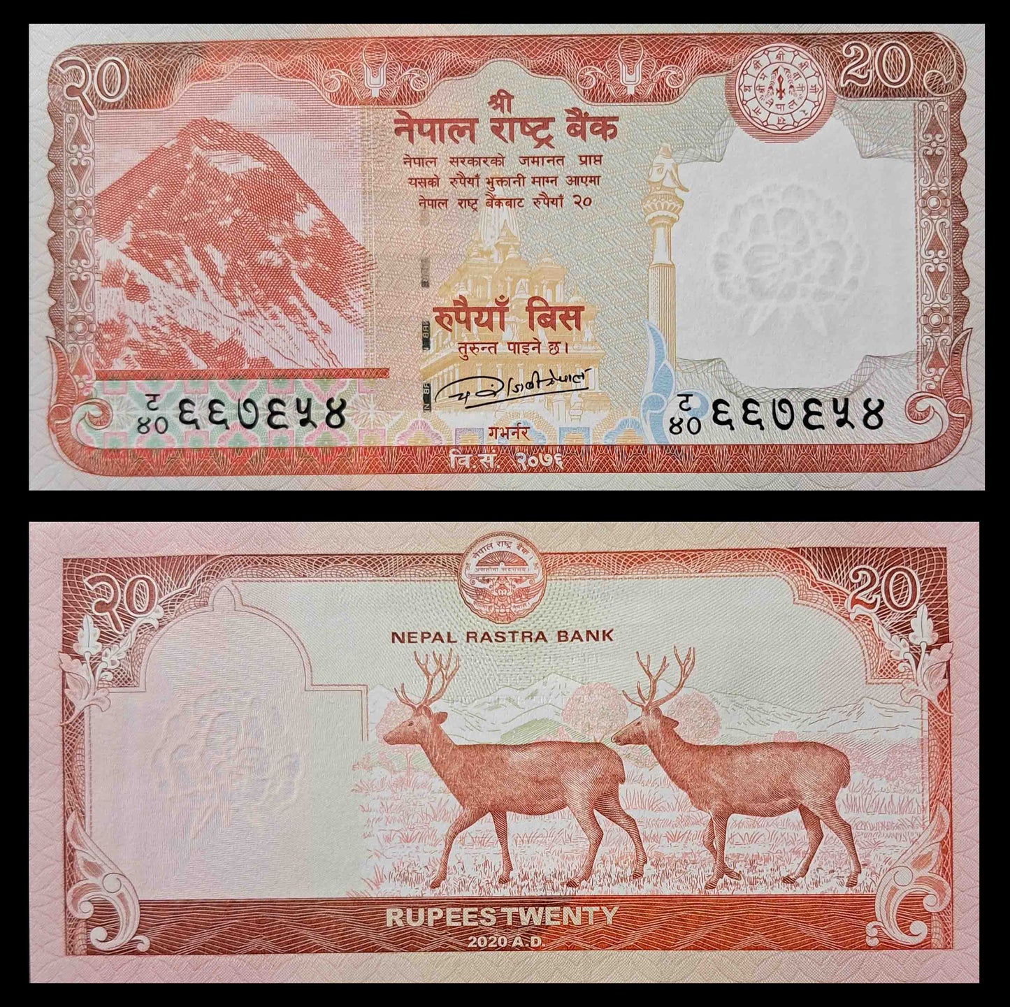 Note 33 Nepal 20 Rupees UNC