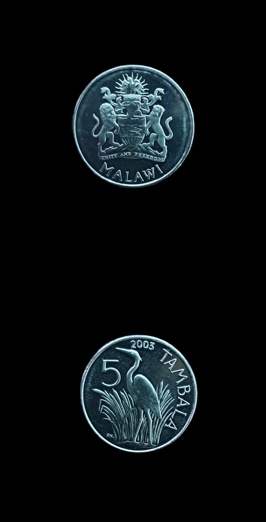 Coin 7 Malawi 5 Tambala  2003 UNC