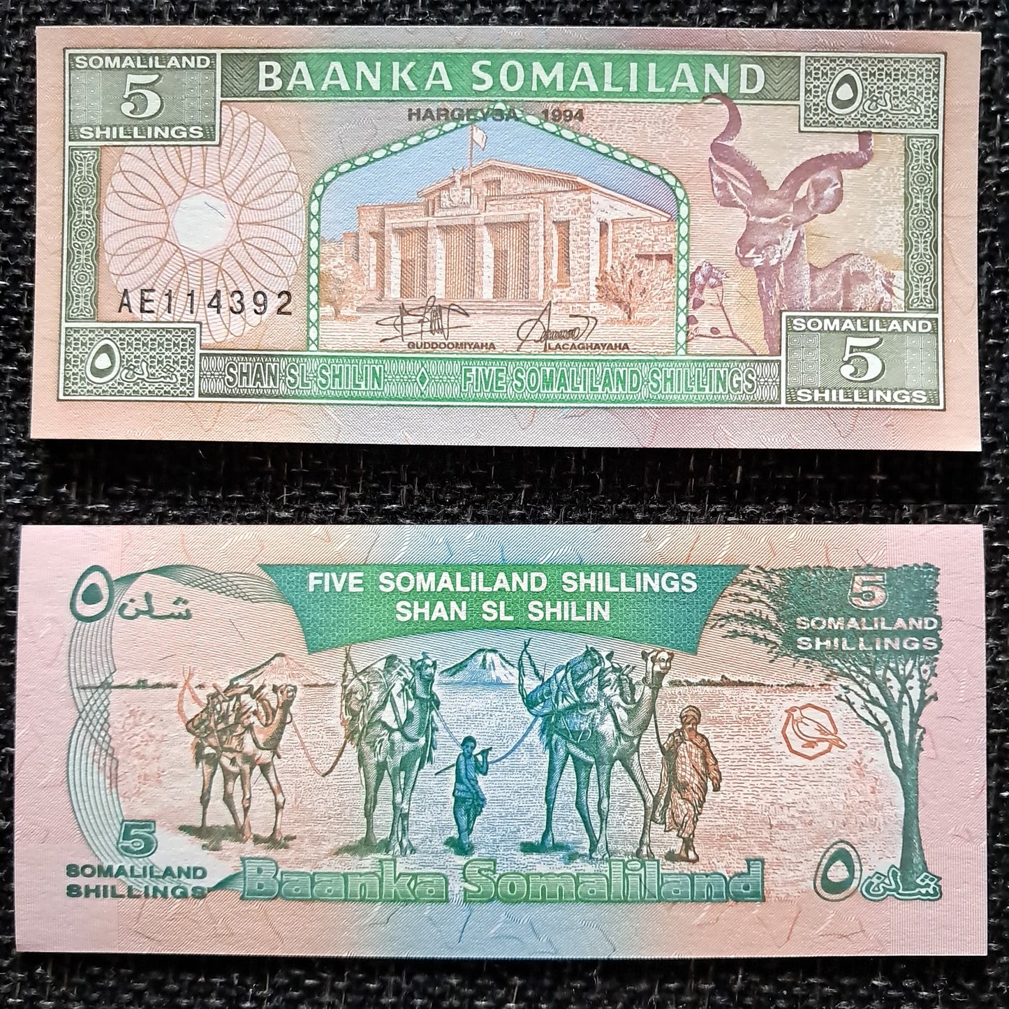 Note 310 Somaliland 5 Shillings 1994 UNC