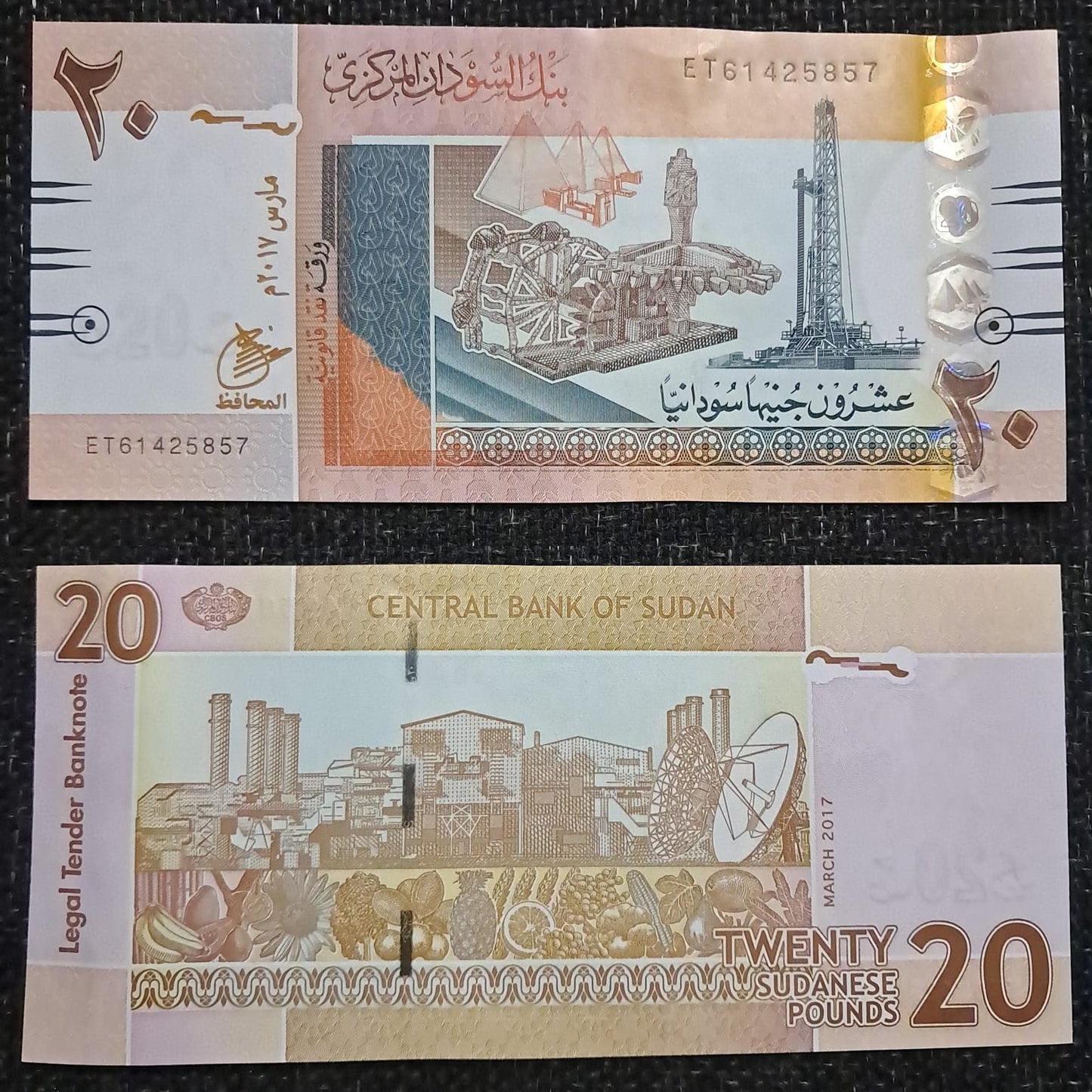 Note 318 Sudan 20 Pounds 2017 UNC