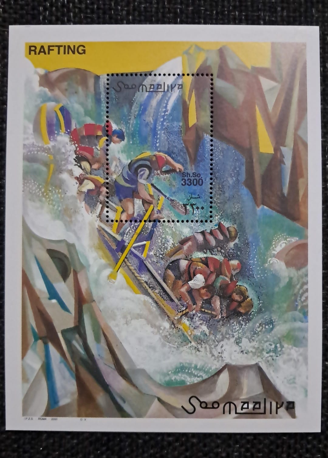 Stamp G 20 Somalia Rafting  miniature Sheet